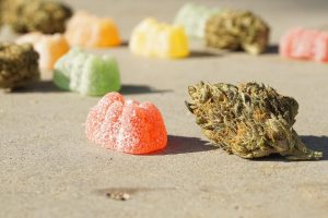What are the things you have to know about vegan CBD gummies?