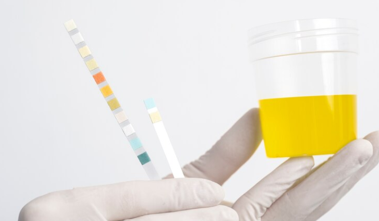 best synthetic urine